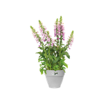 vibiacampana round 30cm living concrete